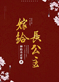 公主嫁给将军结果总被误会的小说