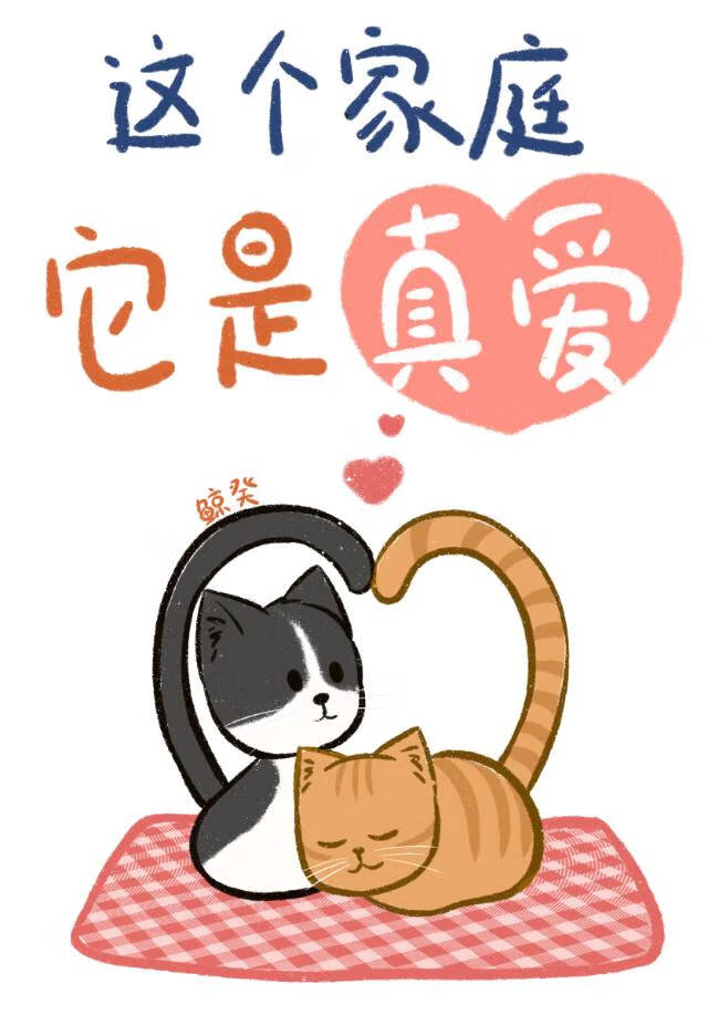 这个家庭它是真爱