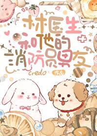 医生的小说