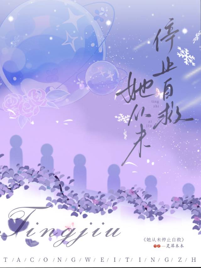 从未停止爱你小说