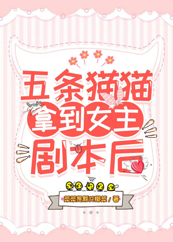 五条猫是什么