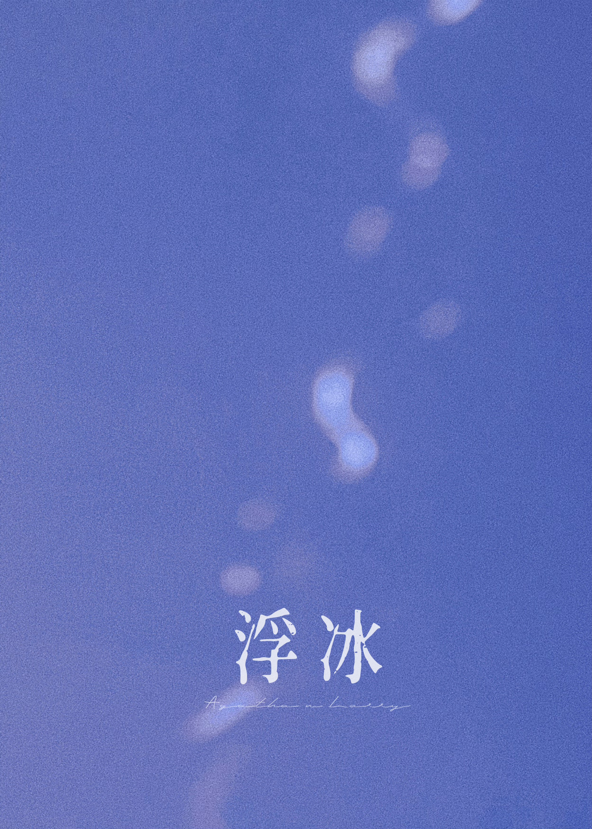 浮冰上的北极熊