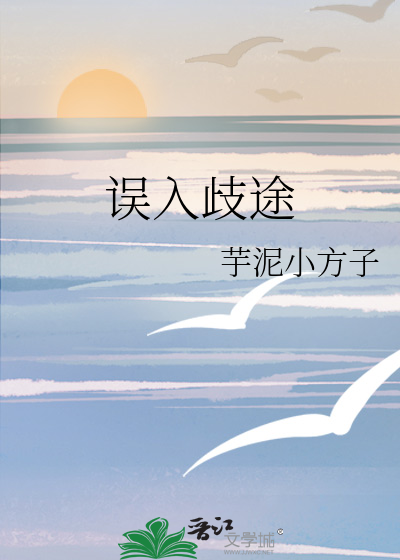 误入歧途的岐的意思