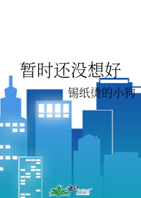 暂时还没想好英语