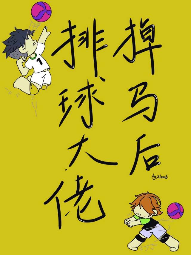 排球大师游戏