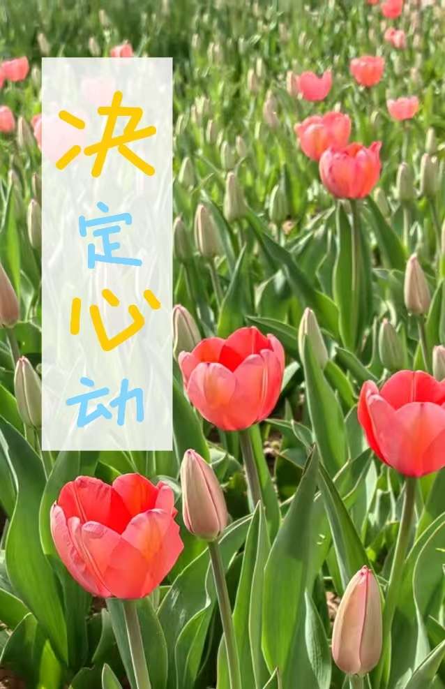 决定心动小说