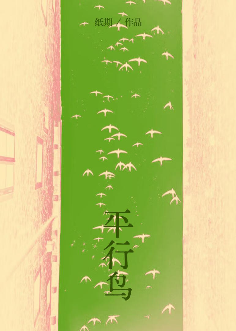 平行鸟怎么立起来的