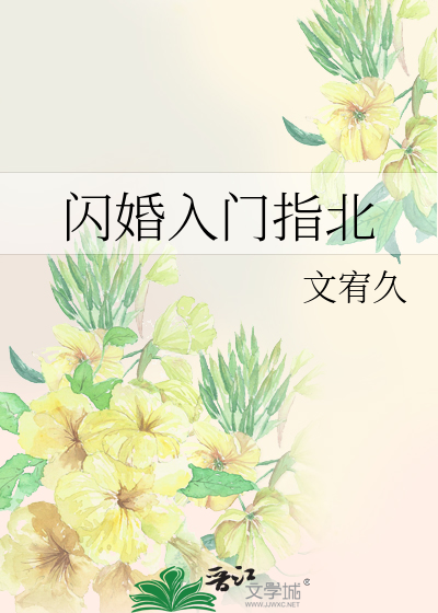 小说 闪婚
