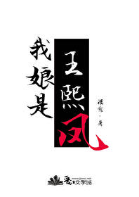 王熙凤 母亲
