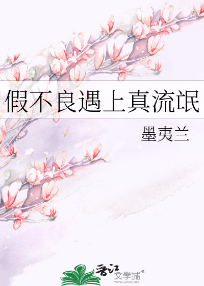 假不良遇上真流氓动画第一季