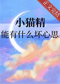 小猫的精力太旺盛了