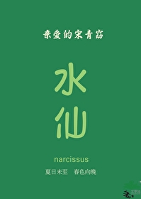 温带雨林罕见吗
