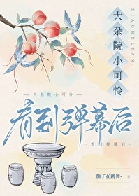 第十六章说说大杂院人们生活的状况