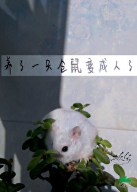 仓鼠变成老鼠