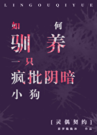 灵偶契约十条规矩