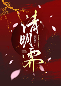 雪霁清明小说