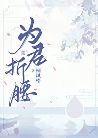 综影视刘盈