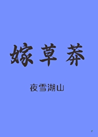 嫁草莽夜雪湖山小说TXT下载