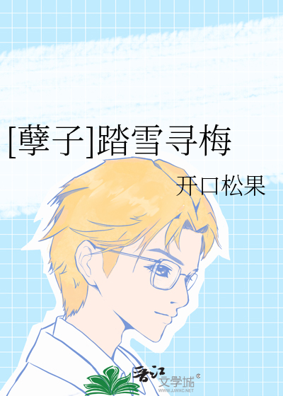 踏雪寻梅案件原型