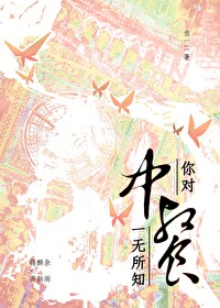对中餐的理解