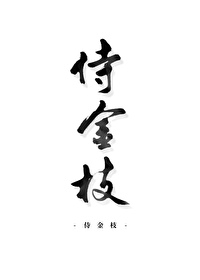 侍金枝小说晋江小说