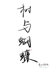 蝴蝶和树叶的故事