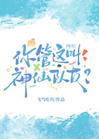 你管这叫小说