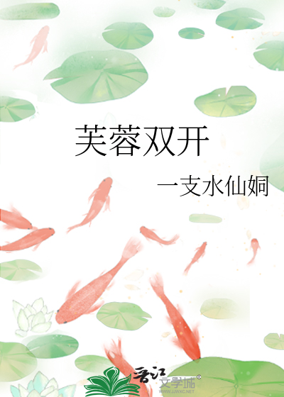 直男向导有点弯