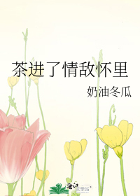 穿越之我要在对我好感度点满的异世界死亡100次