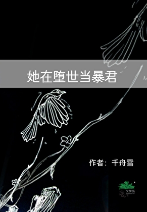 顶级向导