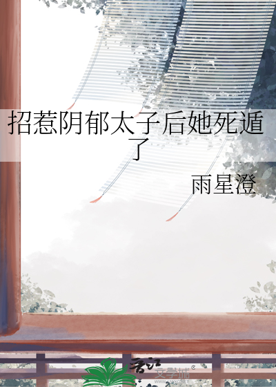 双面镜gl