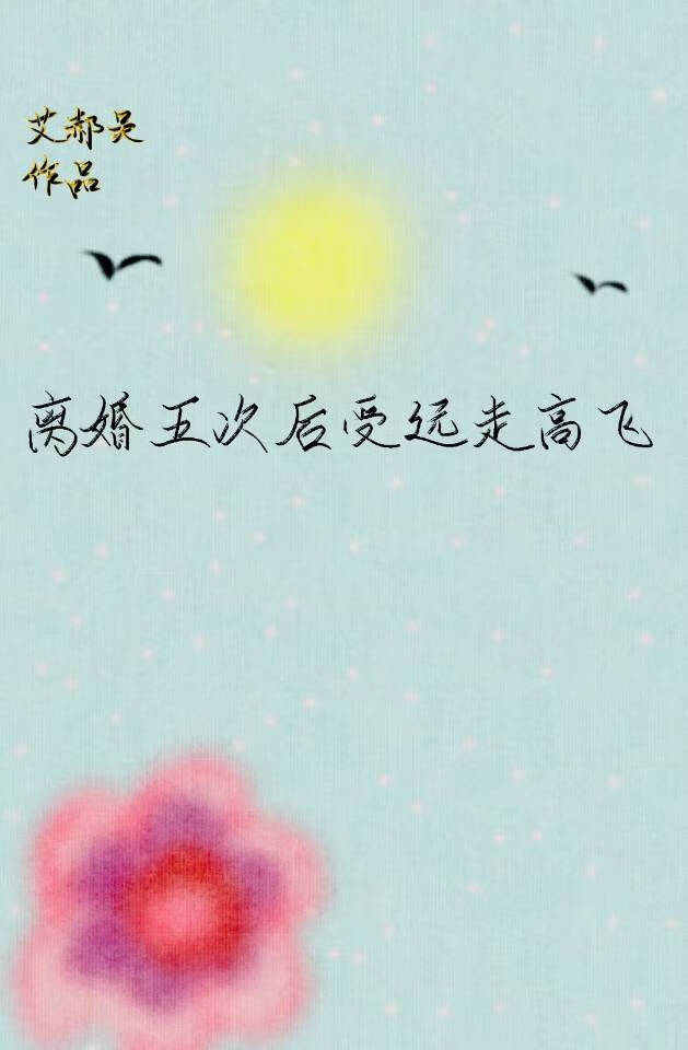 5次离婚案