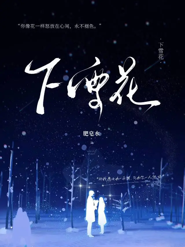 下雪花的说说