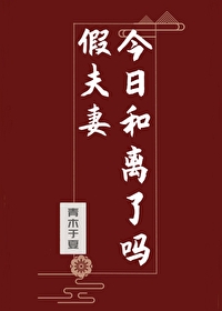 假夫妻今日和离了吗小说免费阅读