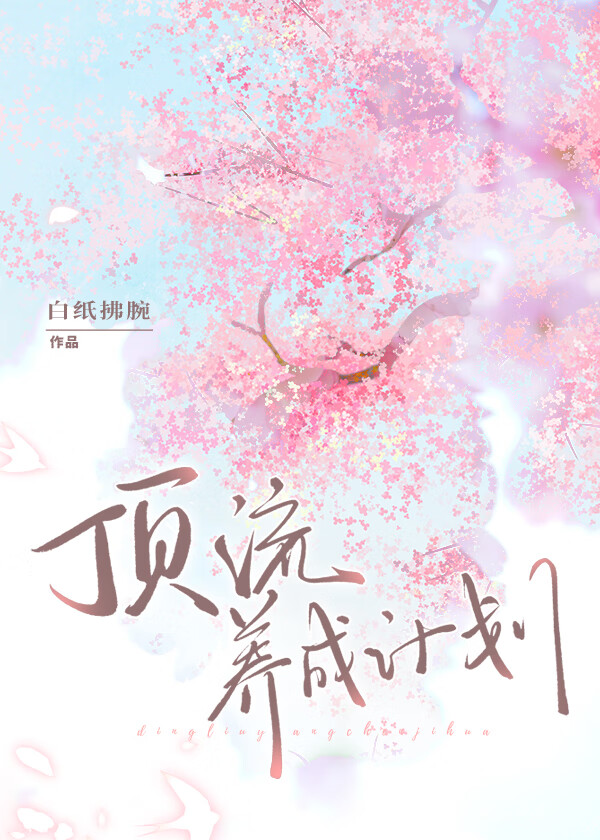 顶流是这样炼成的 小说