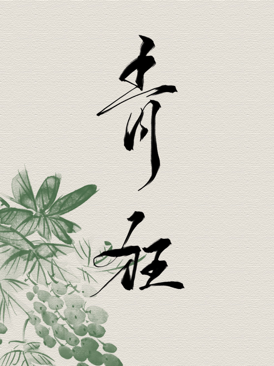 轻狂小说